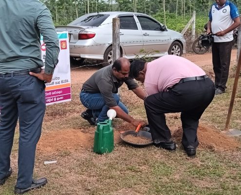 WhatsApp Image 2025-09-15 at 2.25.54 PM