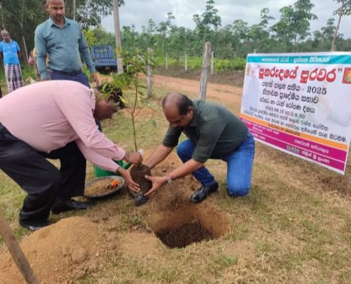 WhatsApp Image 2025-09-15 at 2.27.02 PM