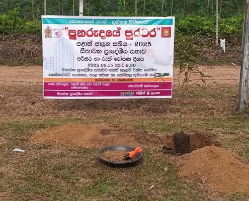 WhatsApp Image 2025-09-15 at 4.36.44 PM